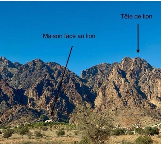 Maison Face Au Lion Tafraout Exterior foto
